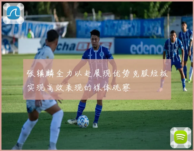 张镇麟全力以赴展现优势克服短板实现高效表现的媒体观察