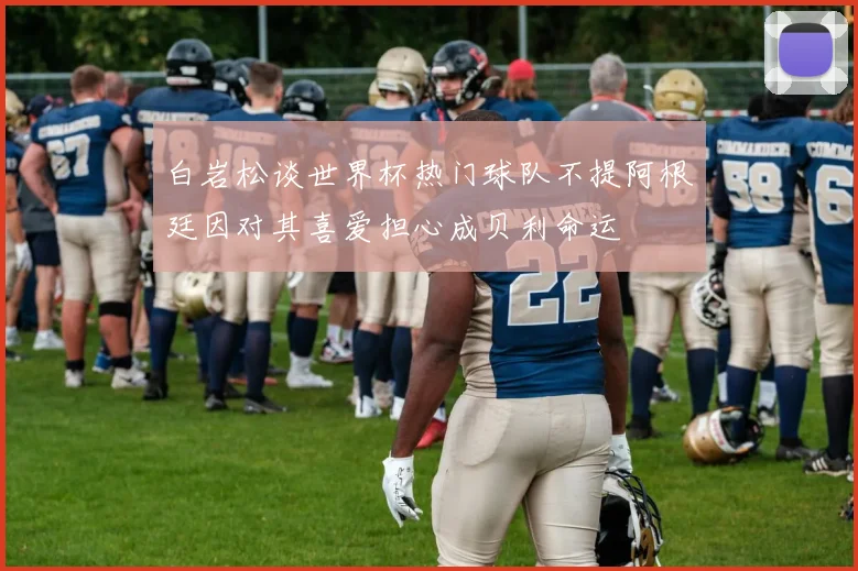 白岩松谈世界杯热门球队不提阿根廷因对其喜爱担心成贝利命运