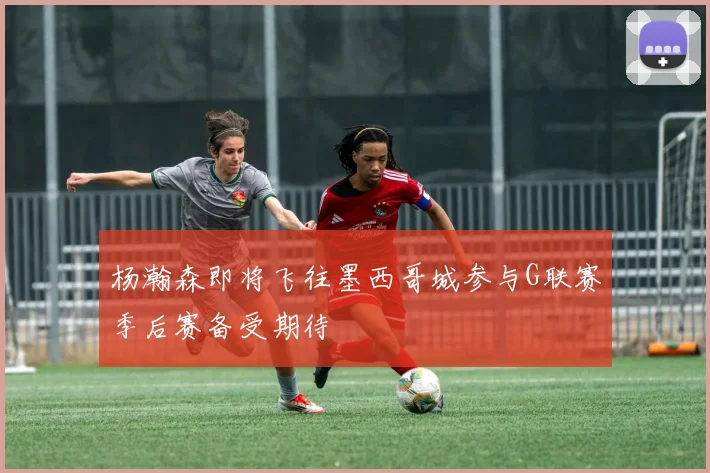 杨瀚森即将飞往墨西哥城参与G联赛季后赛备受期待