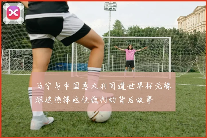 马宁与中国意大利同遭世界杯无缘球迷热捧这位裁判的背后故事